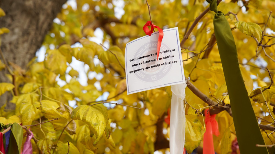 SADAKA ZAMMINI KABUL ETMİYORUZ! / 3 ARALIK 2025